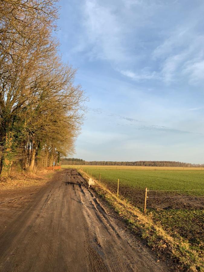 'T Holten Huus - Puur Genieten In Het Bos. Norg Esterno foto