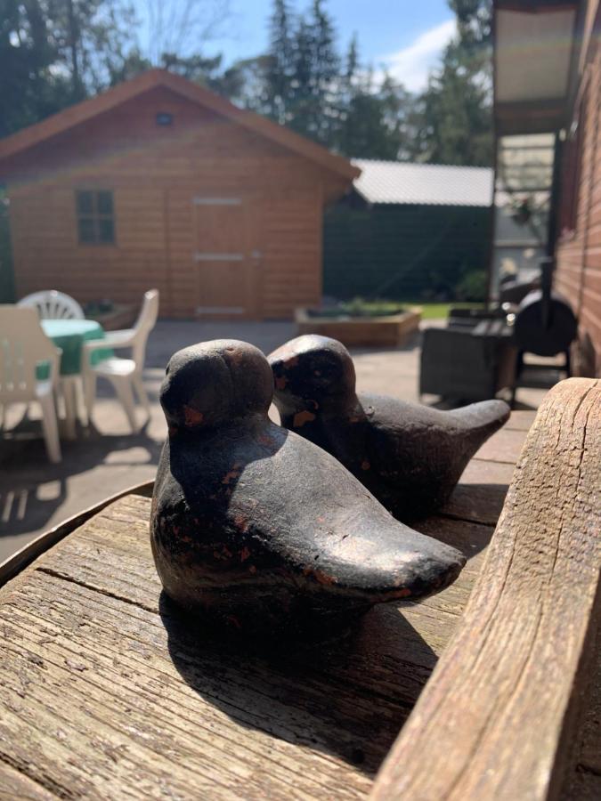 'T Holten Huus - Puur Genieten In Het Bos. Norg Esterno foto