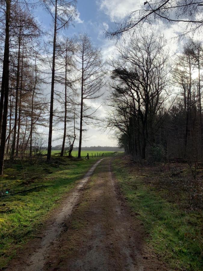 'T Holten Huus - Puur Genieten In Het Bos. Norg Esterno foto