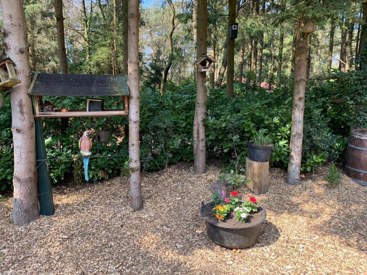 'T Holten Huus - Puur Genieten In Het Bos. Norg Esterno foto