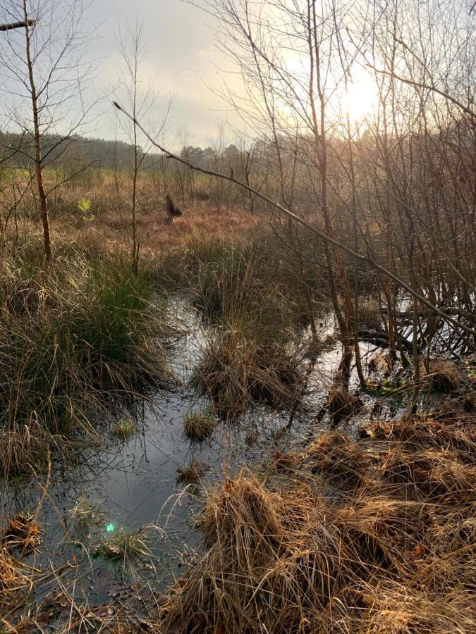 'T Holten Huus - Puur Genieten In Het Bos. Norg Esterno foto